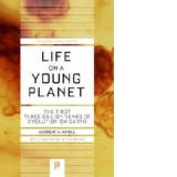 Life on a Young Planet