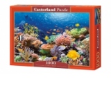 Puzzle 1000 piese Coral Reef Fishes 101511