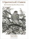 Sparrowhawk's Lament