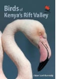 Birds of Kenya's Rift Valley