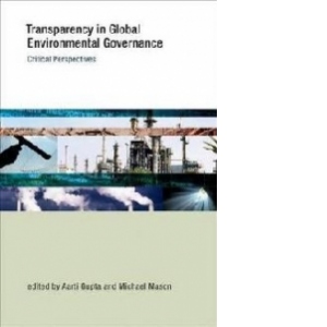 Transparency in Global Environmental Governance