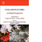 Coal and Peat Fires: A Global Perspective