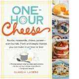 One-hour Cheese