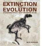 Extinction and Evolution