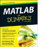 MATLAB For Dummies