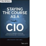 Staying the Course as a CIO