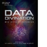 Data Divination