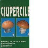 Ciupercile