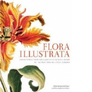 Flora Illustrata