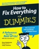 How to Fix Everything For Dummies