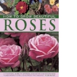 How to Grow Beautiful Roses