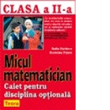 Micul matematician - clasa a II a - disciplina optionala