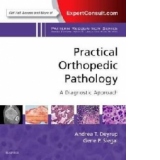 Practical Orthopedic Pathology: A Diagnostic Approach