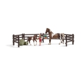 Set Joaca Cai - Schleich - 21049