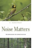 Noise Matters