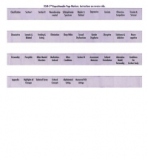 DSM-5 Repositionable Page Markers