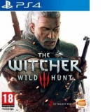 THE WITCHER 3 WILD HUNT PS4