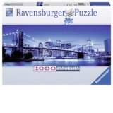 Puzzle MINUNATUL NEW YORK 1000 piese