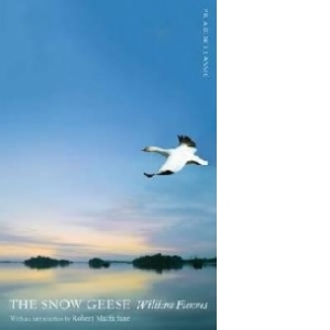 Snow Geese