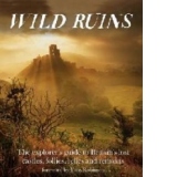 Wild Ruins