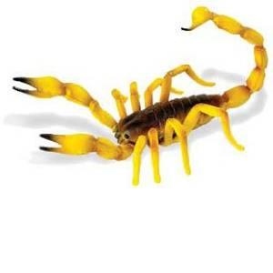 Scorpion