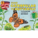 From Caterpillar to Butterfly