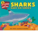 Sharks Have Six Senses