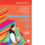 Matematica. Exercitii si probleme pentru clasa a VI-a (Rozica Stefan)