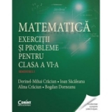 Matematica. Exercitii si probleme pentru clasa a VI-a. Semestrul I