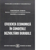 Eficienta economica in conditiile dezvoltarii durabile