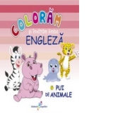 Coloram si invatam limba engleza nr. 7 - Pui de animale