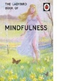 Ladybird Book of Mindfulness
