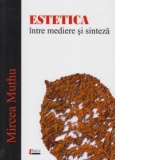 Estetica intre mediere si sinteza