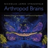 Arthropod Brains. Evolution, Functional Elegance and Historical Significance