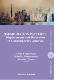 Immigration Patterns. Displacement and Relocation in Contemporary America