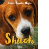 Shiloh