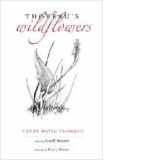 Thoreau's Wildflowers