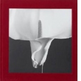 Mapplethorpe Flora