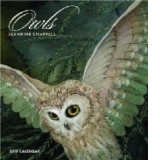 Owls 2017 Wall Calendar