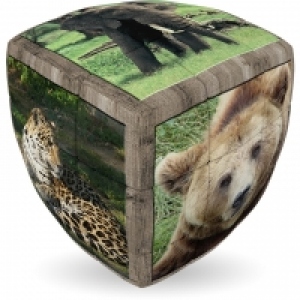 V-Cube Animale salbatice