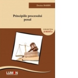 Principiile procesului penal