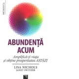 Abundenta acum. Amplifica-ti viata si obtine prosperitatea astazi