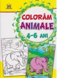 Coloram animale 4-6 ani