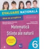 Evaluare nationala. Matematica si stiinte ale naturii. Ghid de pregatire. Clasa a VI-a