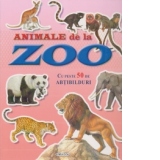 Cauta si lipeste - Animale de la Zoo