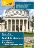 Clasa a XI-a. Pregatire pentru testul de simulare a examenului de bacalaureat la limba si literatura romana 2017