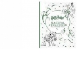 Harry Potter Magical Creatures Colouring Book