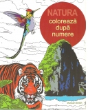 Natura. Coloreaza dupa numere