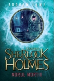 Tanarul Sherlock Holmes. Norul mortii