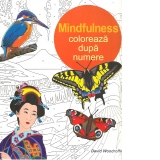 Mindfulness. Coloreaza dupa numere